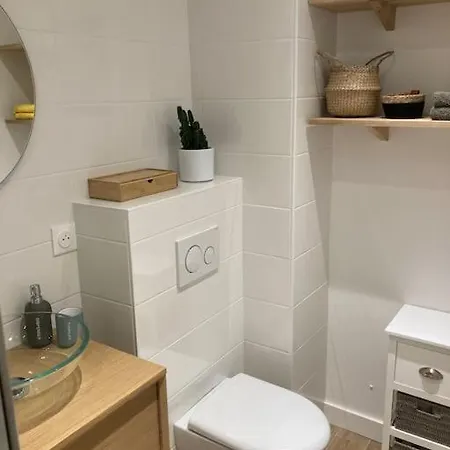 Apartamento T2 Renove, Tout Equipe La Cime Des Pins + Parking