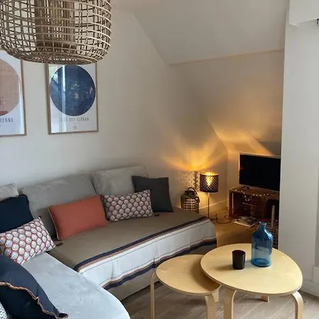 T2 Renove, Tout Equipe La Cime Des Pins + Parking Apartamento *